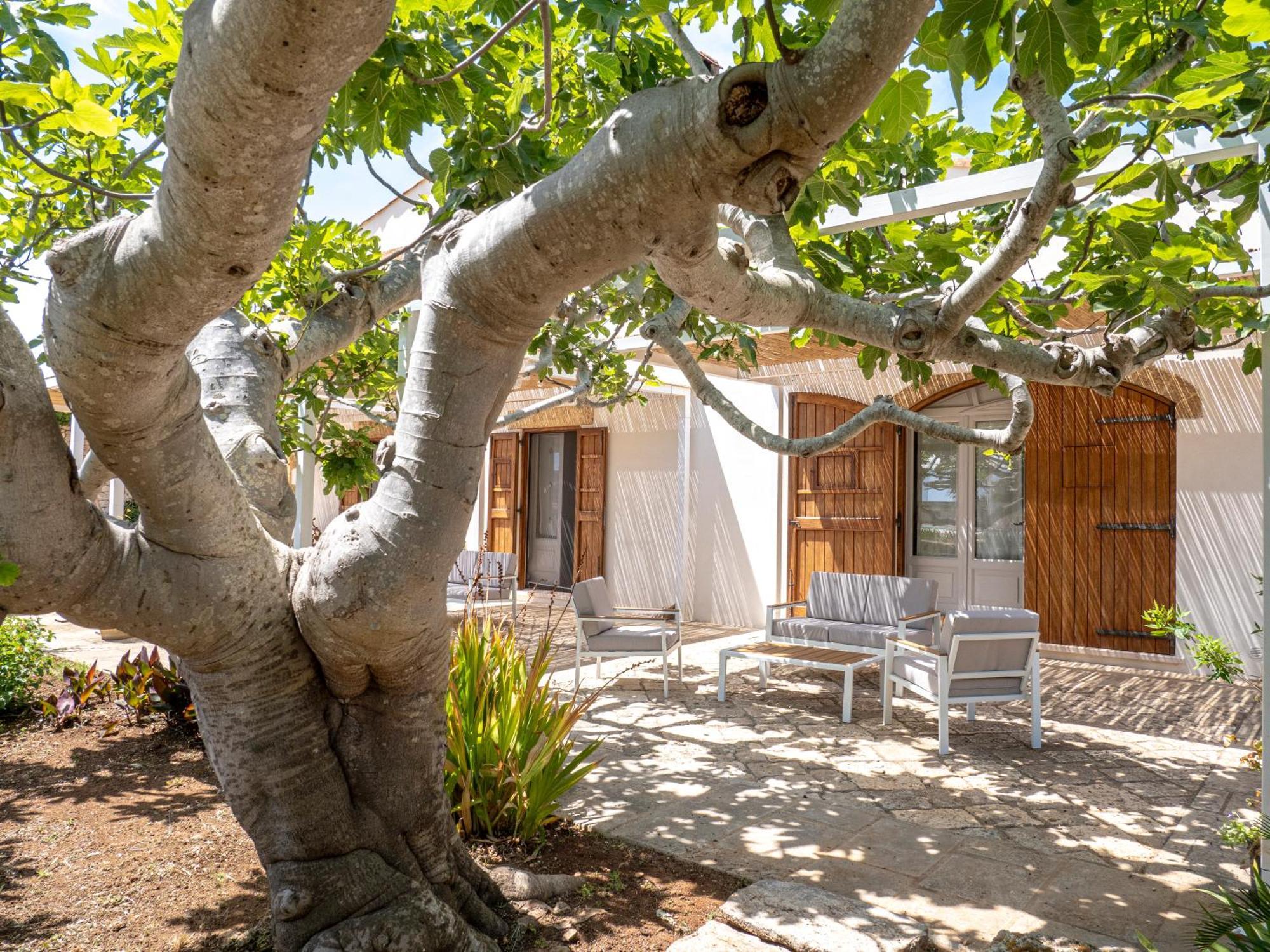 Agriturismo Masseria Alcorico Галяно дел Капо Екстериор снимка